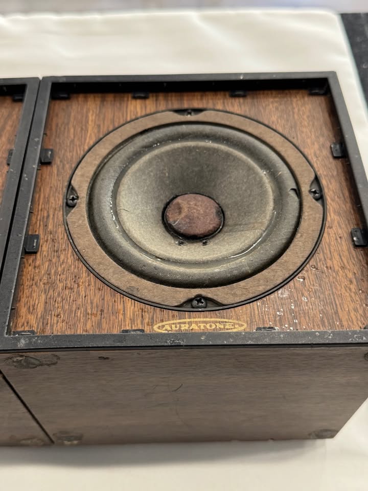 Auratone 5C Super Sound Cube Speaker Pair