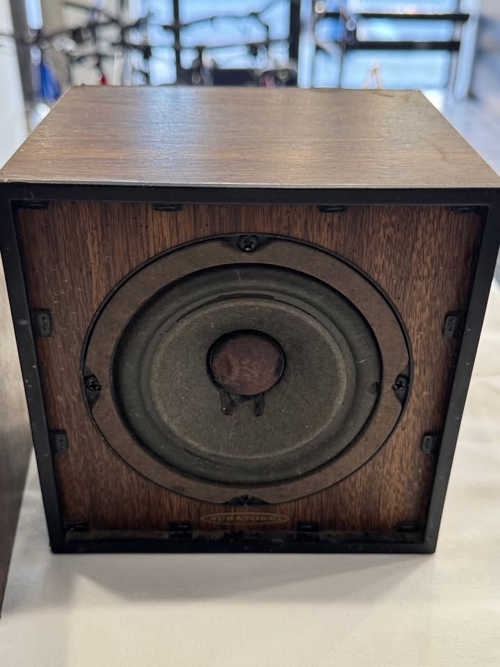 Auratone 5C Super Sound Cube Speaker Pair