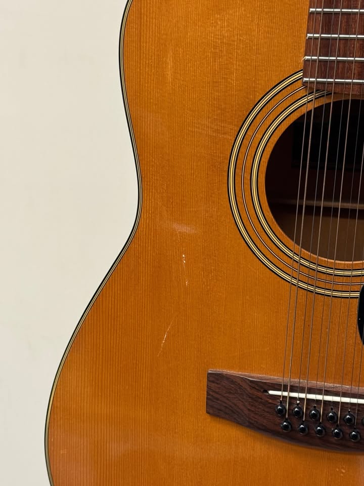 Yamaha 12 String - FG-210-1 - Acoustic Guitar