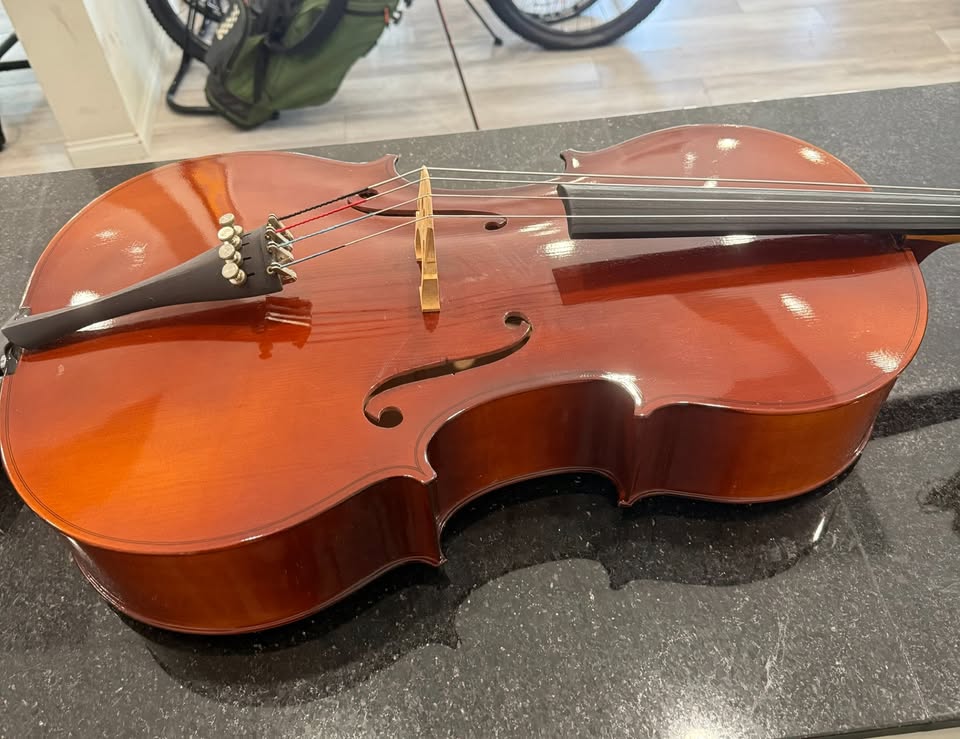 LIDL Cello Model 40/1 Y2-MADE IN CZECH REPUBLIC