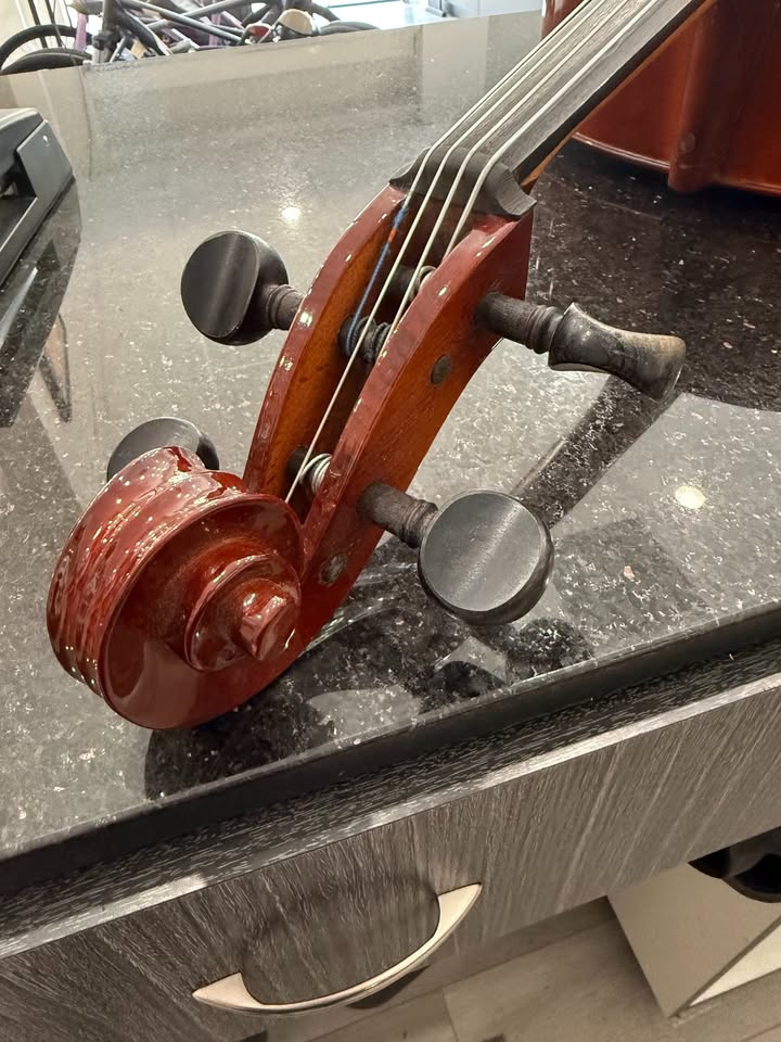LIDL Cello Model 40/1 Y2-MADE IN CZECH REPUBLIC