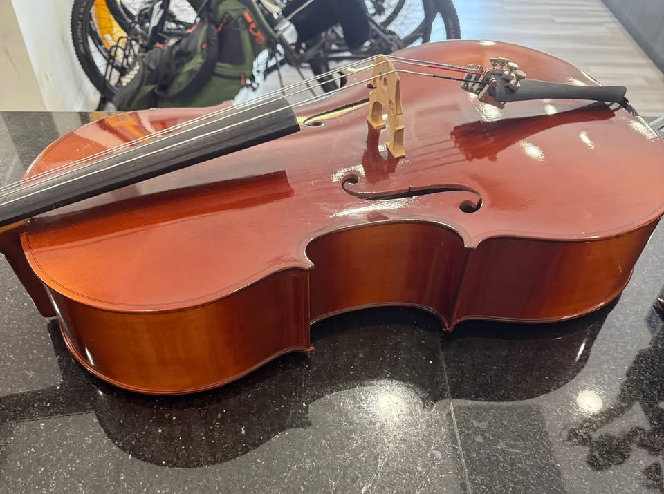 LIDL Cello Model 40/1 Y2-MADE IN CZECH REPUBLIC
