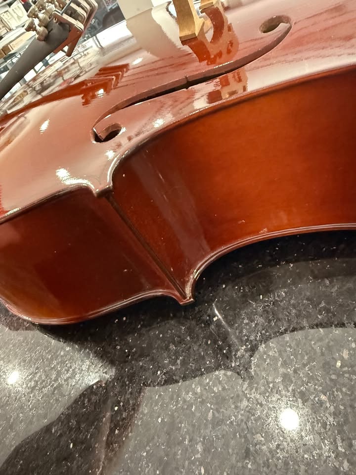 LIDL Cello Model 40/1 Y2-MADE IN CZECH REPUBLIC