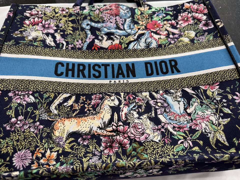 Christian Dior D Constellation Embroidery Book Tote-Large