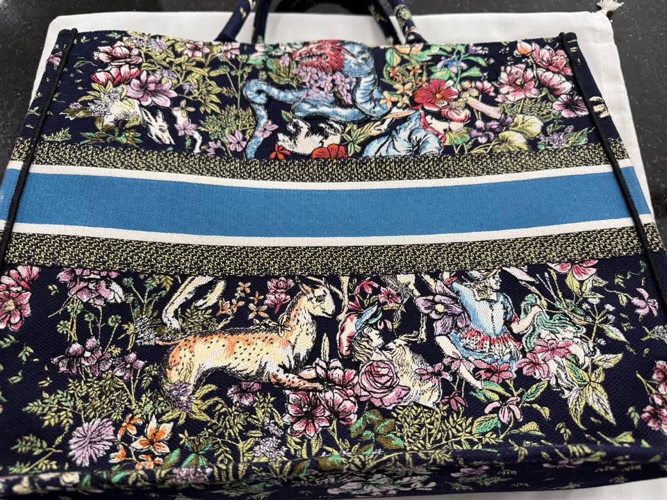 Christian Dior D Constellation Embroidery Book Tote-Large